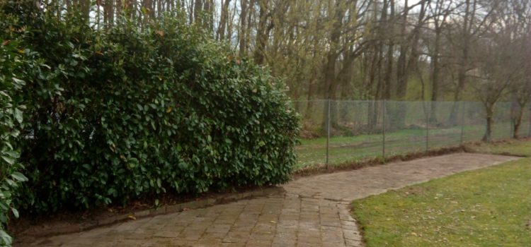 Veldonderhoud 2018